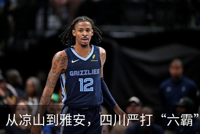从凉山到雅安，四川严打“六霸”一锅端：打掉112个，559起刑案告破