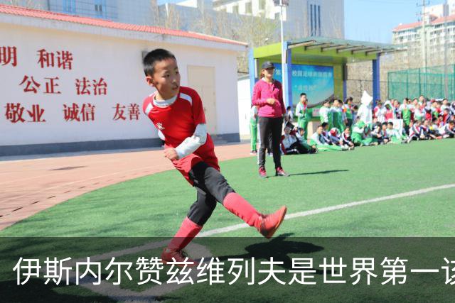 伊斯内尔赞兹维列夫是世界第一该有的样子，世界最好接发球员之一