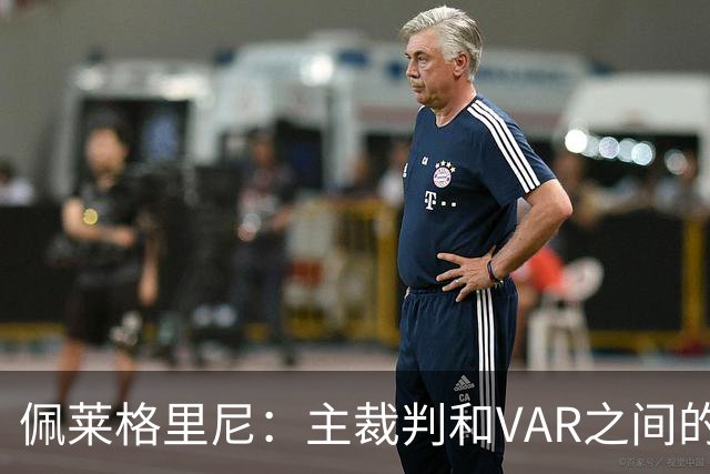 佩莱格里尼：主裁判和VAR之间的协作衔接，应该是需要改进的地方