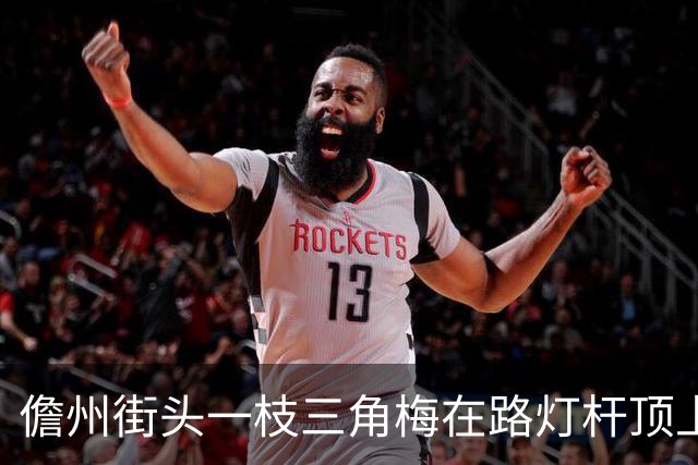 儋州街头一枝三角梅在路灯杆顶上开花，被赞“全网最努力”，园林管理局：其生长状况良好