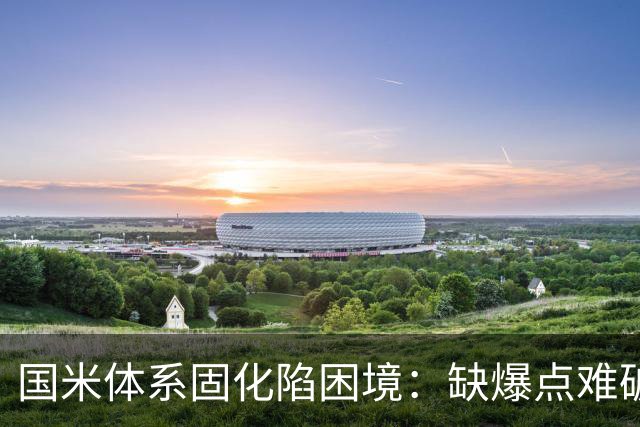国米体系固化陷困境：缺爆点难破欧冠瓶颈，齐沃如何破局
