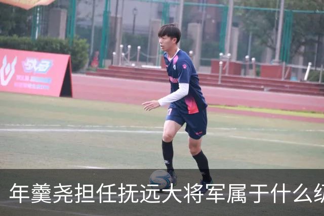 年羹尧担任抚远大将军属于什么级别？与大学士和军机大臣相比如何？