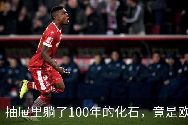 抽屉里躺了100年的化石，竟是欧洲第一种巨型爪龙